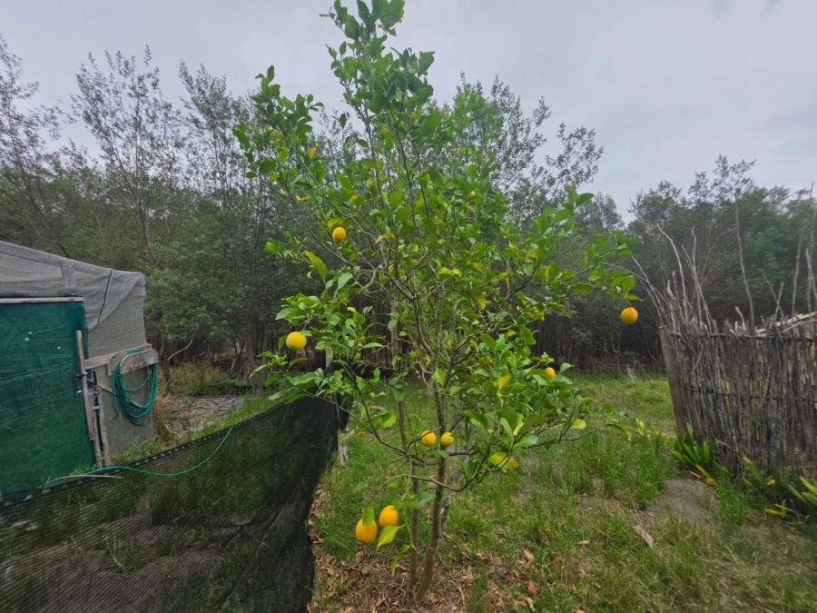 Commercial Property for Sale in Sedgefield Rural Western Cape